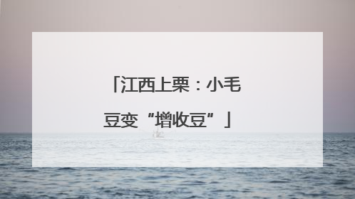 江西上栗：小毛豆变“增收豆”