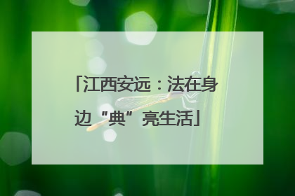江西安远：法在身边“典”亮生活
