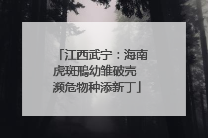 江西武宁：海南虎斑鳽幼雏破壳 濒危物种添新丁