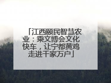 江西颐民智慧农业：乘文博会文化快车，让宁都黄鸡走进千家万户