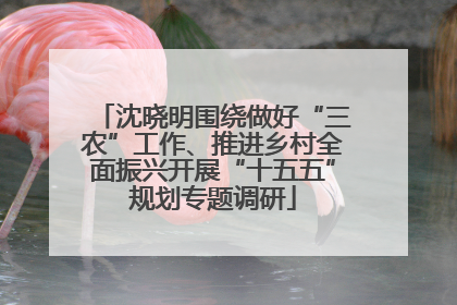 沈晓明围绕做好“三农”工作、推进乡村全面振兴开展“十五五”规划专题调研