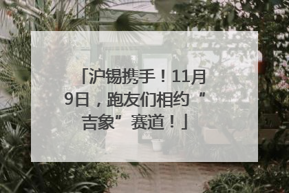 沪锡携手！11月9日，跑友们相约“吉象”赛道！