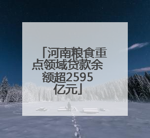 河南粮食重点领域贷款余额超2595亿元