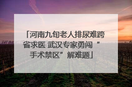 河南九旬老人排尿难跨省求医 武汉专家勇闯“手术禁区”解难题