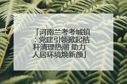 河南兰考考城镇：党建引领掀起秸秆清理热潮 助力人居环境焕新颜