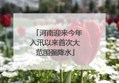 河南迎来今年入汛以来首次大范围强降水