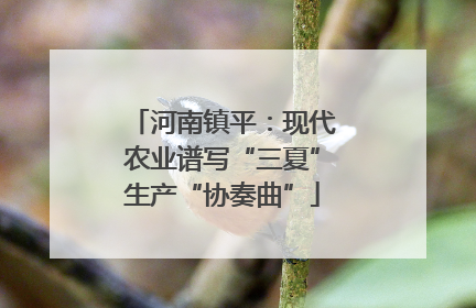 河南镇平：现代农业谱写“三夏”生产“协奏曲”