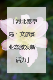 河北秦皇岛：文旅新业态激发新活力