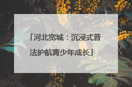 河北宽城：沉浸式普法护航青少年成长