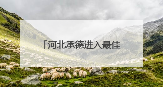 河北承德进入最佳旅游季，避暑山庄一次购票三日畅游