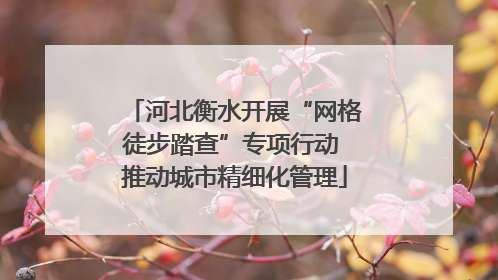 河北衡水开展“网格徒步踏查”专项行动 推动城市精细化管理