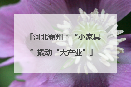 河北霸州：“小家具”撬动“大产业”