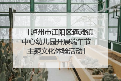 泸州市江阳区通滩镇中心幼儿园开展端午节主题文化体验活动