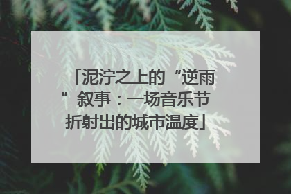 泥泞之上的“逆雨”叙事：一场音乐节折射出的城市温度