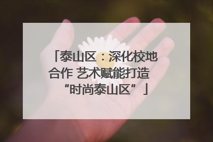 泰山区：深化校地合作 艺术赋能打造“时尚泰山区”