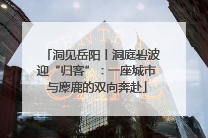 洞见岳阳丨洞庭碧波迎“归客”：一座城市与麋鹿的双向奔赴