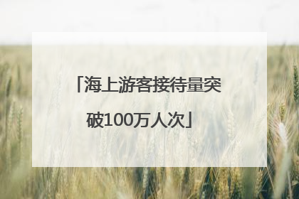 海上游客接待量突破100万人次