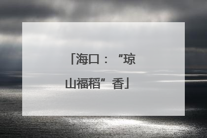 海口：“琼山福稻”香