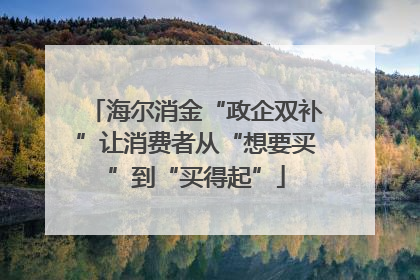 海尔消金“政企双补”让消费者从“想要买”到“买得起”