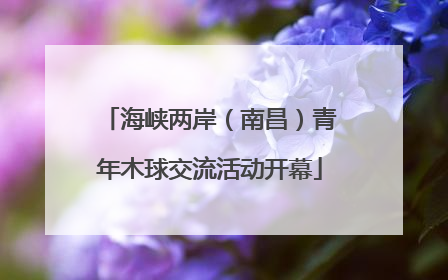 海峡两岸（南昌）青年木球交流活动开幕