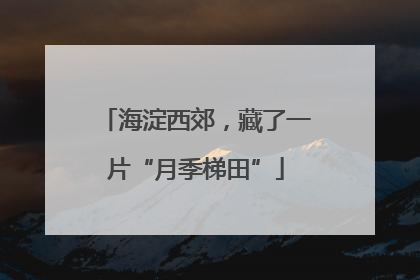 海淀西郊，藏了一片“月季梯田”