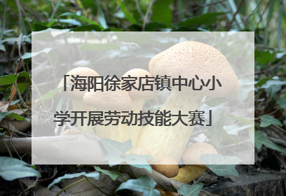 海阳徐家店镇中心小学开展劳动技能大赛