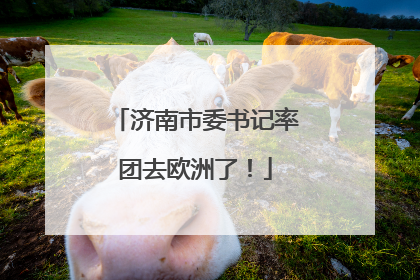 济南市委书记率团去欧洲了！