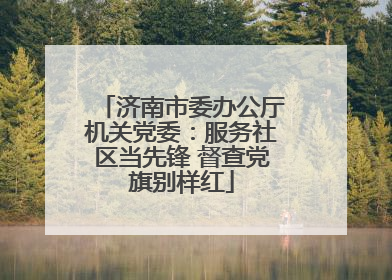 济南市委办公厅机关党委：服务社区当先锋 督查党旗别样红
