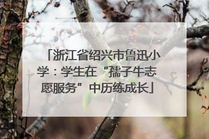 浙江省绍兴市鲁迅小学：学生在“孺子牛志愿服务”中历练成长