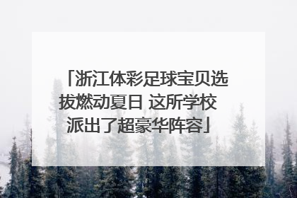 浙江体彩足球宝贝选拔燃动夏日 这所学校派出了超豪华阵容