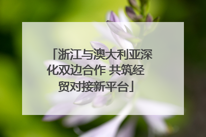 浙江与澳大利亚深化双边合作 共筑经贸对接新平台