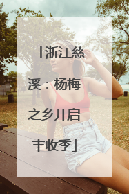 浙江慈溪：杨梅之乡开启丰收季