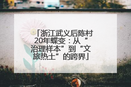 浙江武义后陈村20年蝶变：从“治理样本”到“文旅热土”的跨界