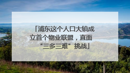 浦东这个人口大镇成立首个物业联盟，直面“三多三难”挑战