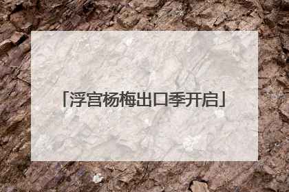 浮宫杨梅出口季开启