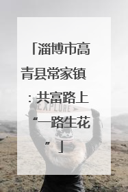 淄博市高青县常家镇：共富路上“一路生花”