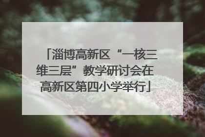 淄博高新区“一核三维三层”教学研讨会在高新区第四小学举行