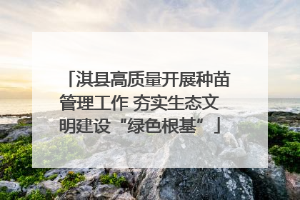 淇县高质量开展种苗管理工作 夯实生态文明建设“绿色根基”