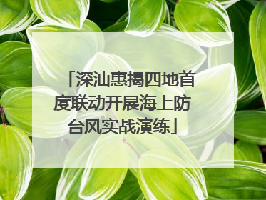 深汕惠揭四地首度联动开展海上防台风实战演练