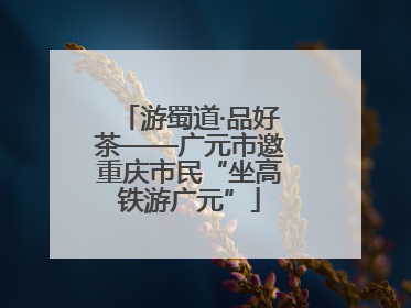 游蜀道·品好茶——广元市邀重庆市民“坐高铁游广元”