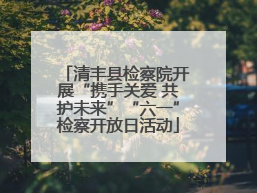 清丰县检察院开展“携手关爱 共护未来”“六一”检察开放日活动