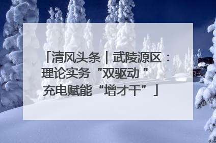清风头条｜武陵源区：理论实务“双驱动 ” 充电赋能“增才干”