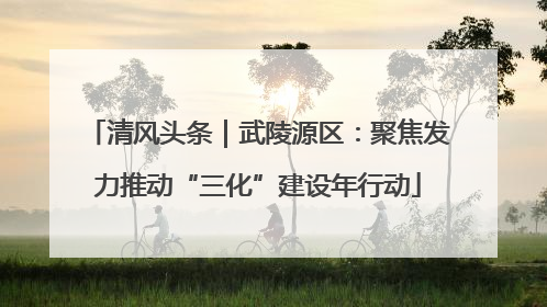 清风头条｜武陵源区：聚焦发力推动“三化”建设年行动