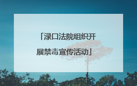 渌口法院组织开展禁毒宣传活动