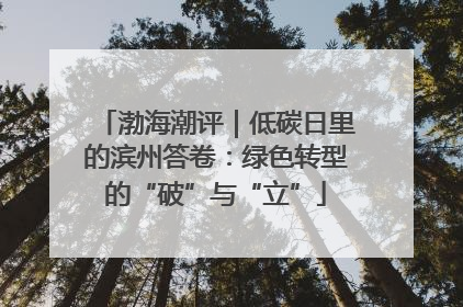 渤海潮评｜低碳日里的滨州答卷：绿色转型的“破”与“立”