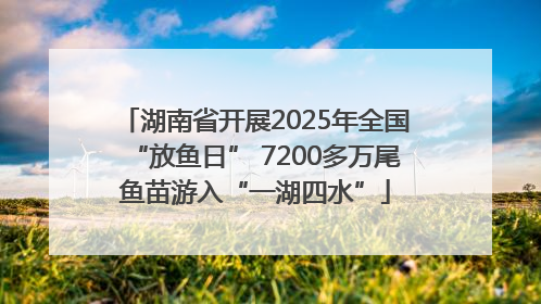 湖南省开展2025年全国“放鱼日” 7200多万尾鱼苗游入“一湖四水”