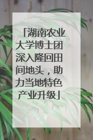 湖南农业大学博士团深入隆回田间地头，助力当地特色产业升级