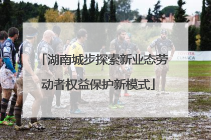 湖南城步探索新业态劳动者权益保护新模式