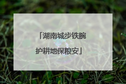 湖南城步铁腕护耕地保粮安