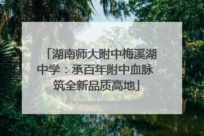 湖南师大附中梅溪湖中学：承百年附中血脉 筑全新品质高地